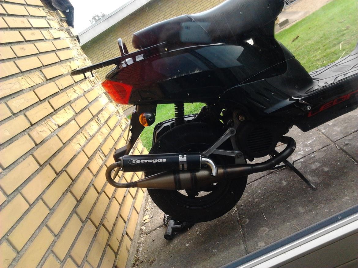 Leone Swan billede 1