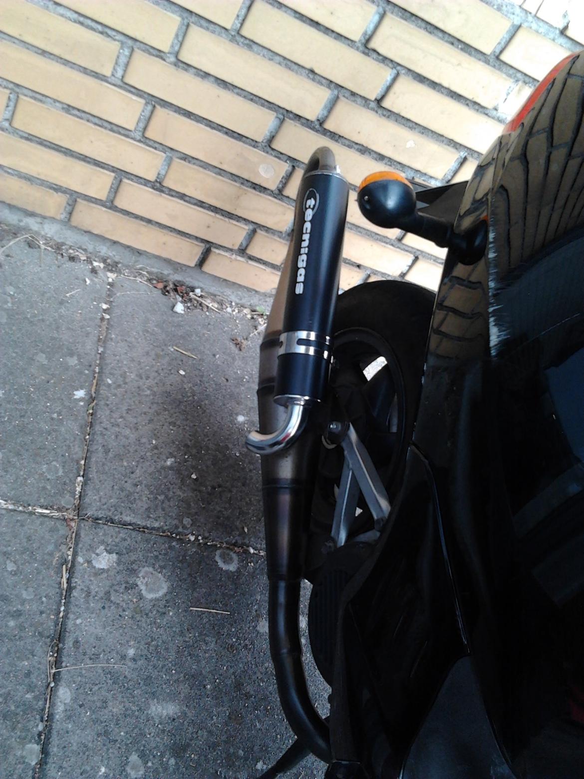 Leone Swan billede 4