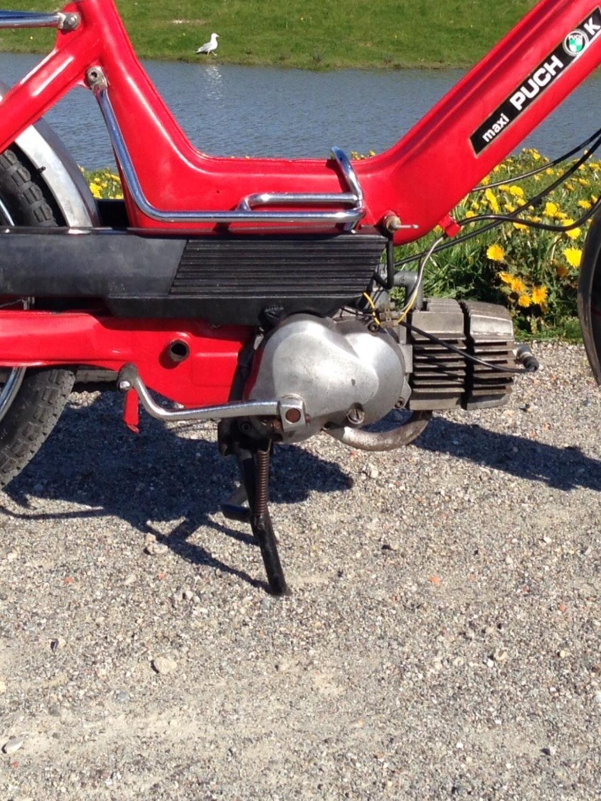 Puch Maxi K billede 3