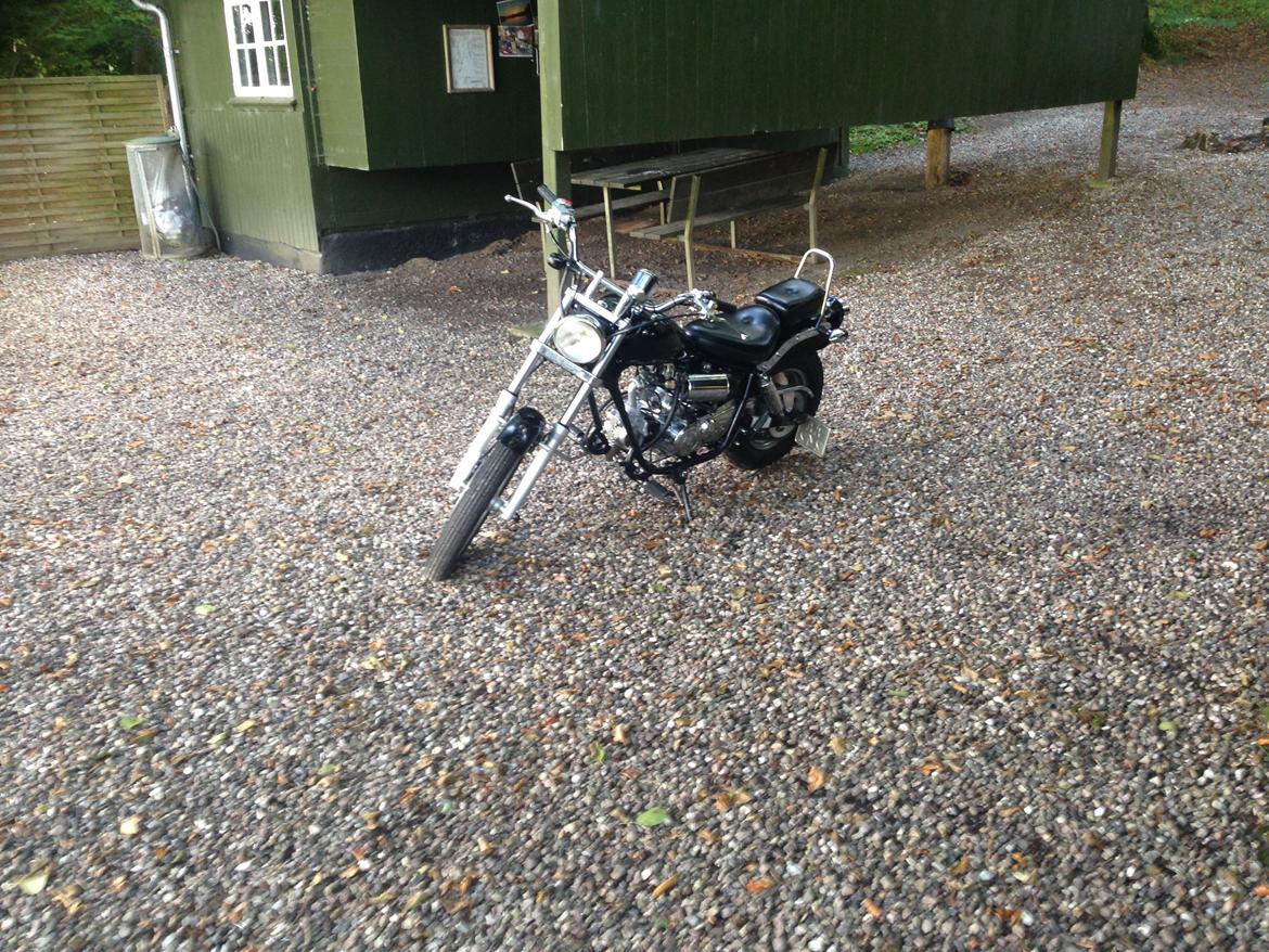 Regal Raptor DD50E dk's flotteste! billede 3