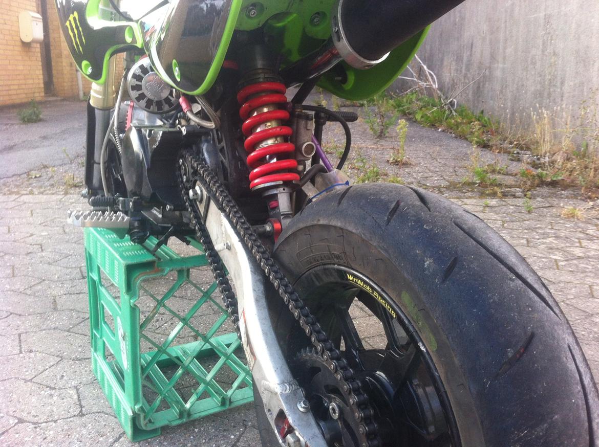 Zoot Smr B billede 9