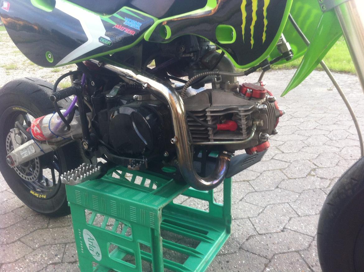 Zoot Smr B billede 10