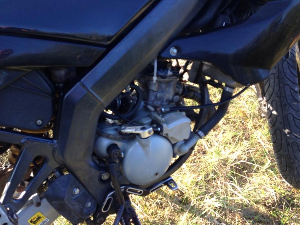 Derbi Senda ((Tidl knollert)) billede 10