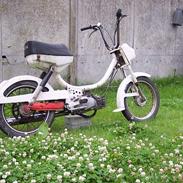 Puch mini til salg 