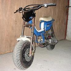 Suzuki Fz50 vs.Rally! T salg