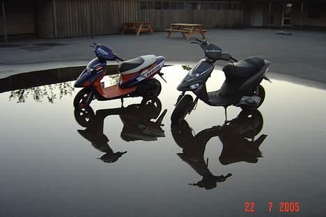 Honda Sfx (solgt) billede 11