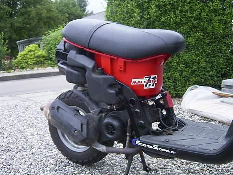 Piaggio Typhoon (SOLGT) billede 2