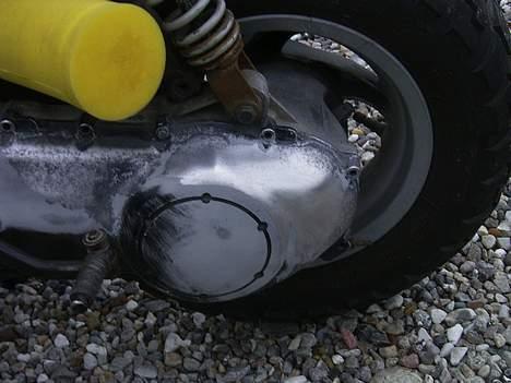 Piaggio Typhoon (SOLGT) - ---igang  med at polere det --- ;) tar jo sin tid billede 7