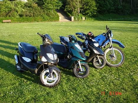 Suzuki RMX (under kniven) billede 7