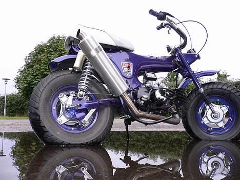 Honda |DAX |  - . NYT ö billede 1