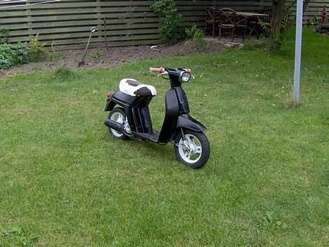 Honda Melody Solgt billede 1