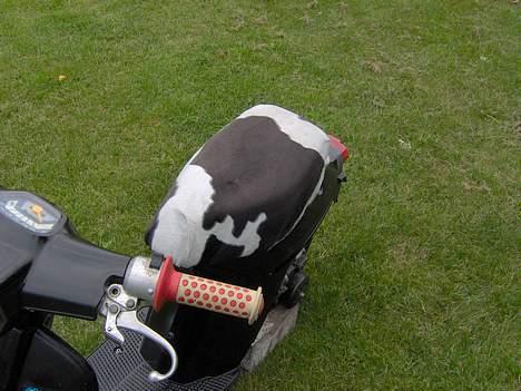 Honda Melody Solgt - Kussemagnet :) billede 5