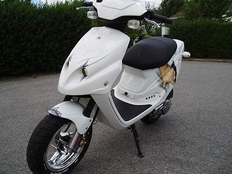 PGO Hot-tornado *Hvidunderet* billede 12