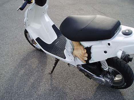 PGO Hot-tornado *Hvidunderet* billede 18