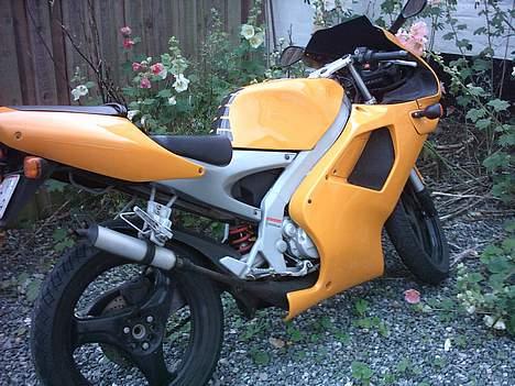 Aprilia rs 50 billede 1