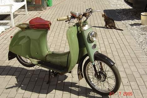 Veteraner STARUT billede 1