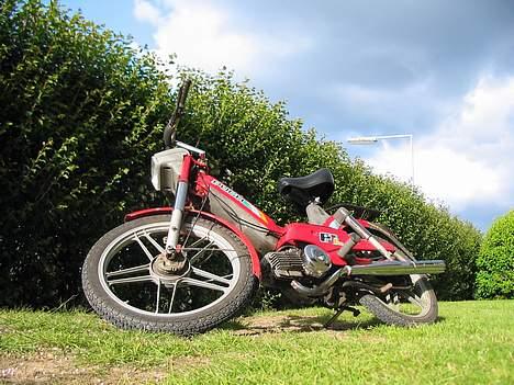 Puch maxi-p1L billede 8