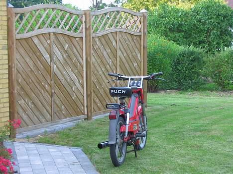 Puch maxi-p1L billede 10