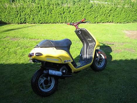 Piaggio Typhoon- Solgt billede 2