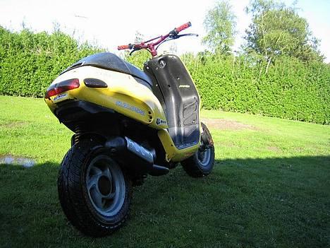 Piaggio Typhoon- Solgt - Typhoonen billede 3