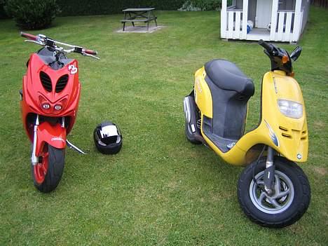 Piaggio Typhoon- Solgt - Sådan som typhoonen så ud før...  Sammen med min Aerox billede 7