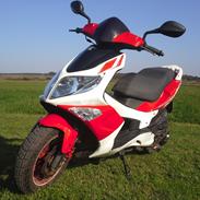 PGO g Max