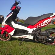 PGO g Max