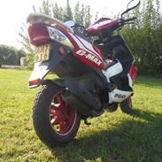 PGO g Max