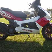 PGO g Max