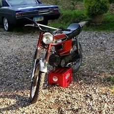 Puch N50 grand prix