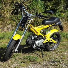 Sachs MadAss "Yellowbird" "DK's bedst bedømte"