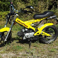 Sachs MadAss "Yellowbird" "DK's bedst bedømte"