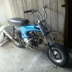 Skyteam Dax ( RACEREN ) [Tidl. Scooter]