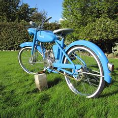 Veteraner Madam Blå