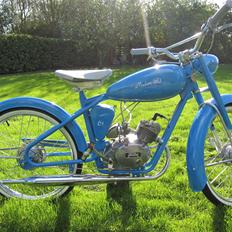 Veteraner Madam Blå