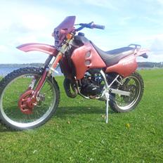 Suzuki RMX (Bitchen)