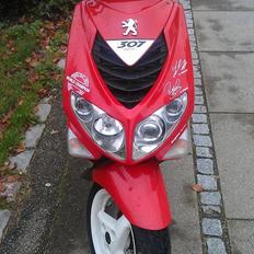 Peugeot Speedfight 2 307 LC WRC Special