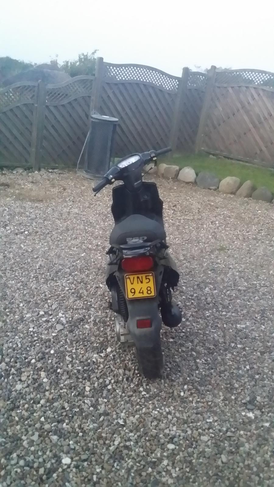 PGO Hot 50 billede 8