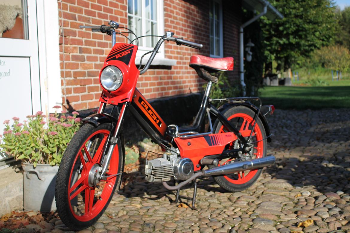 Puch Maxi K / Jubilæumsmodel billede 1
