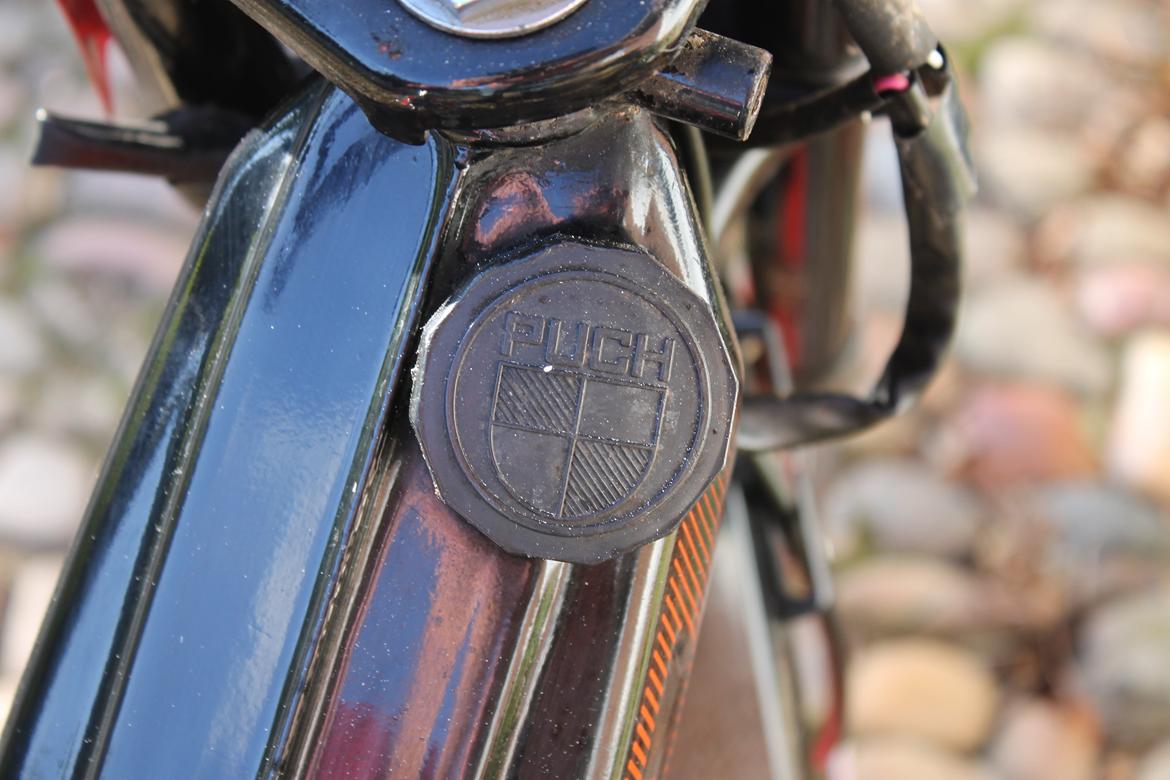 Puch Maxi K / Jubilæumsmodel billede 12