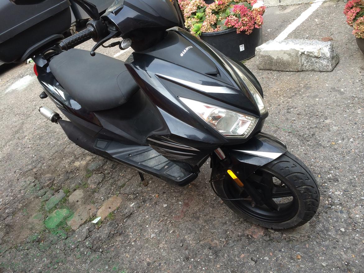 Giantco Lambros 45 billede 1