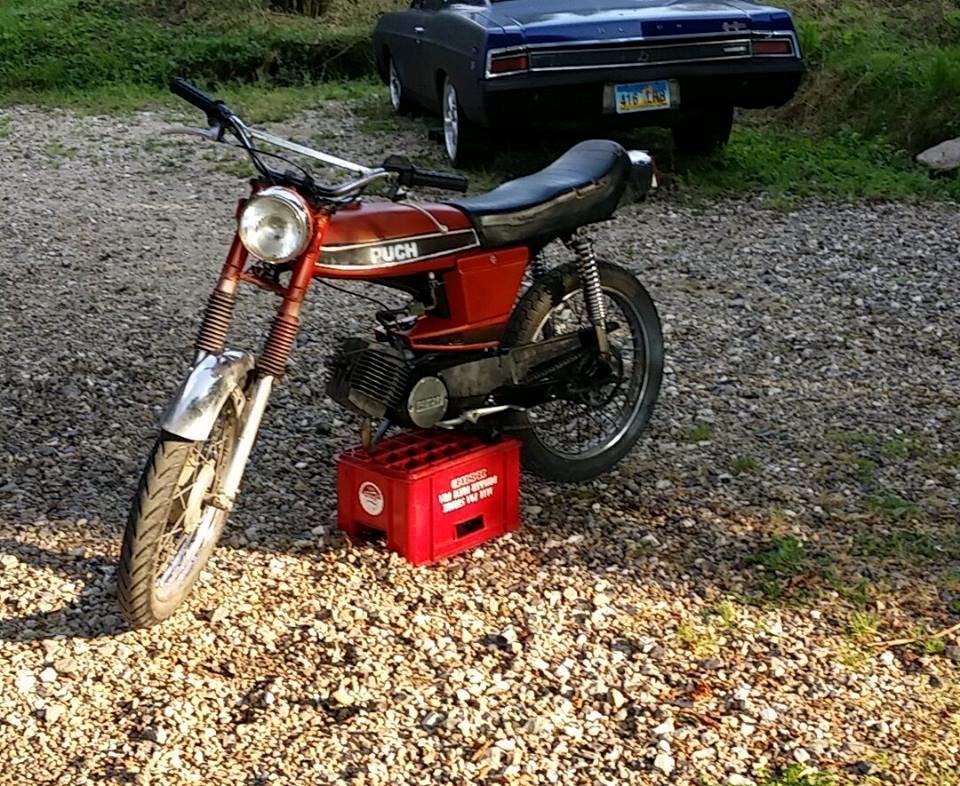 Puch N50 grand prix billede 3