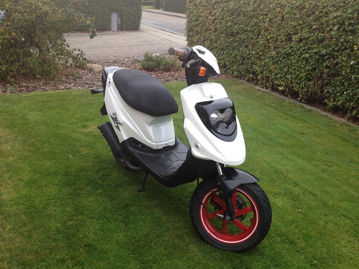 PGO Hot 50 billede 4