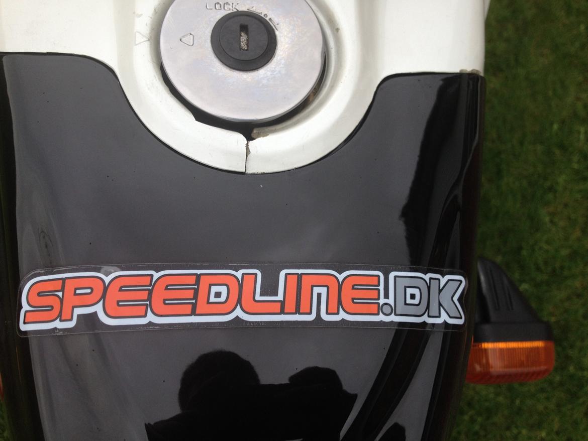 PGO Hot 50 billede 5