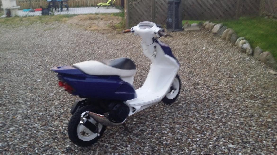 Honda Sfx billede 12