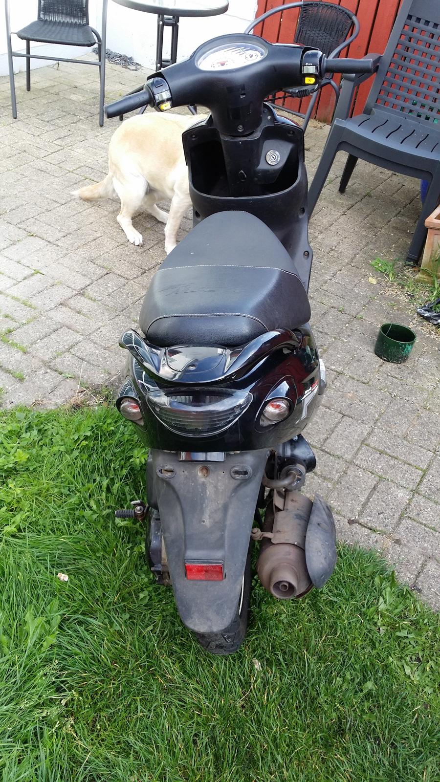 PGO Black Magic SOLGT billede 4