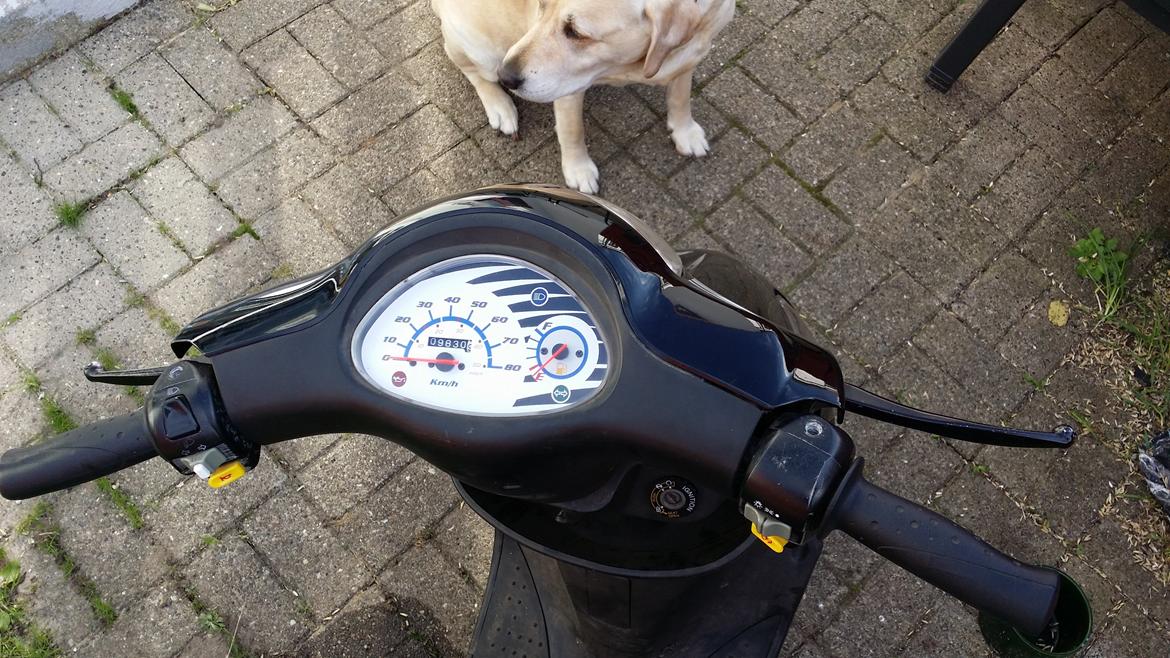 PGO Black Magic SOLGT billede 5