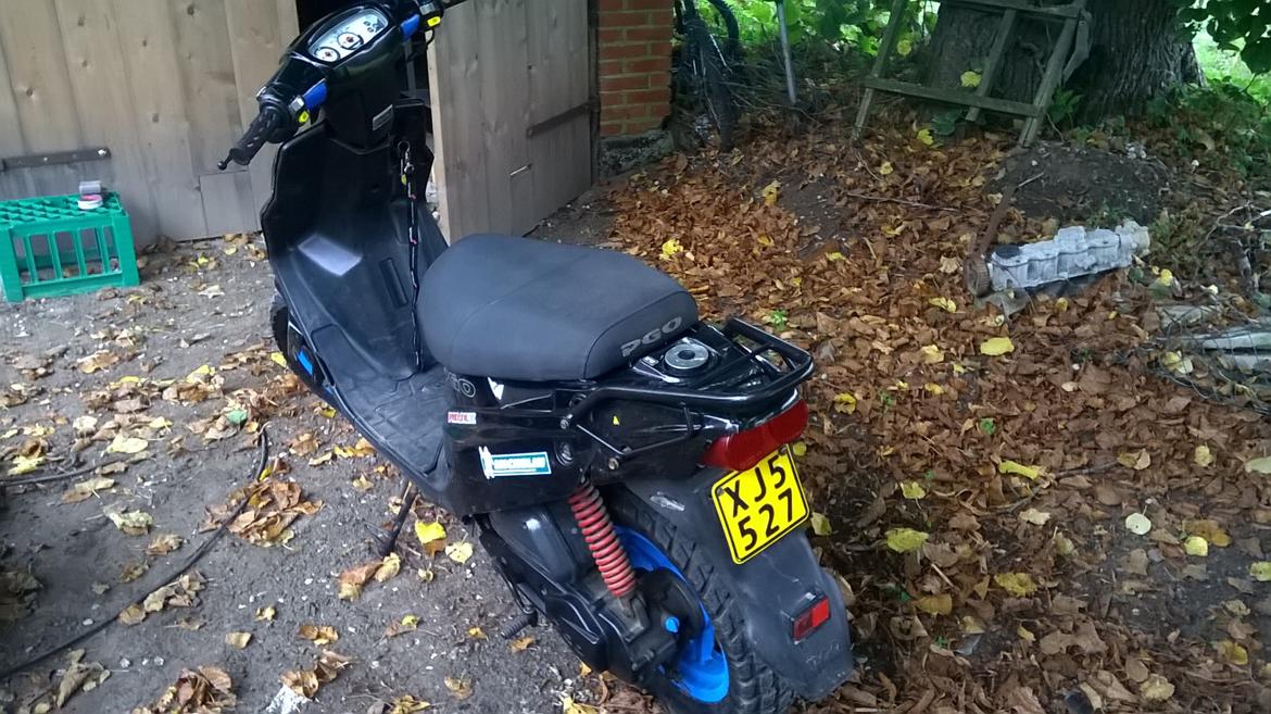 PGO Hot 50 PMPS 12" billede 2