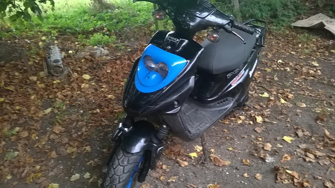 PGO Hot 50 PMPS 12" billede 4