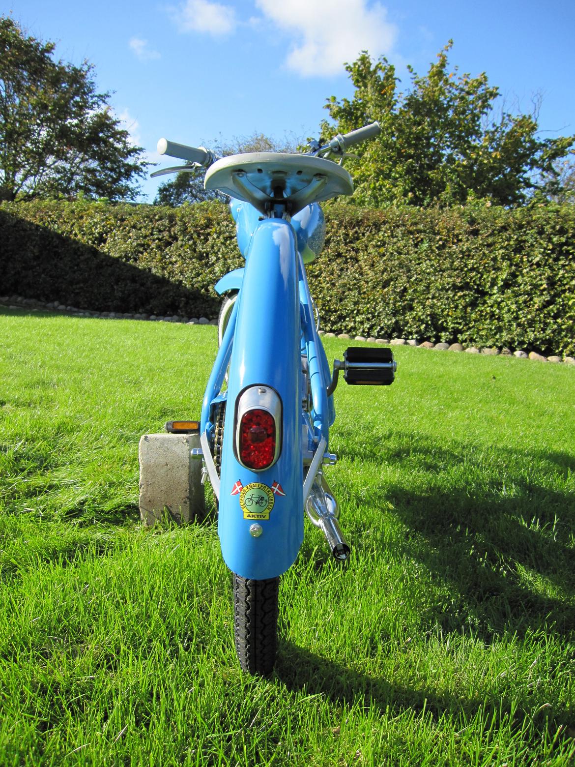 Veteraner Madam Blå billede 3